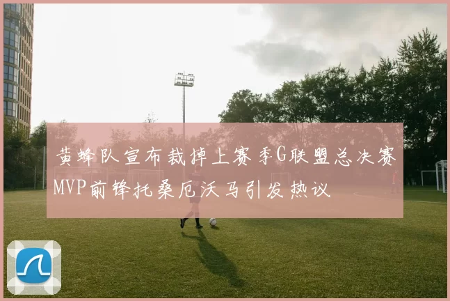 黄蜂队宣布裁掉上赛季G联盟总决赛MVP前锋托桑厄沃马引发热议
